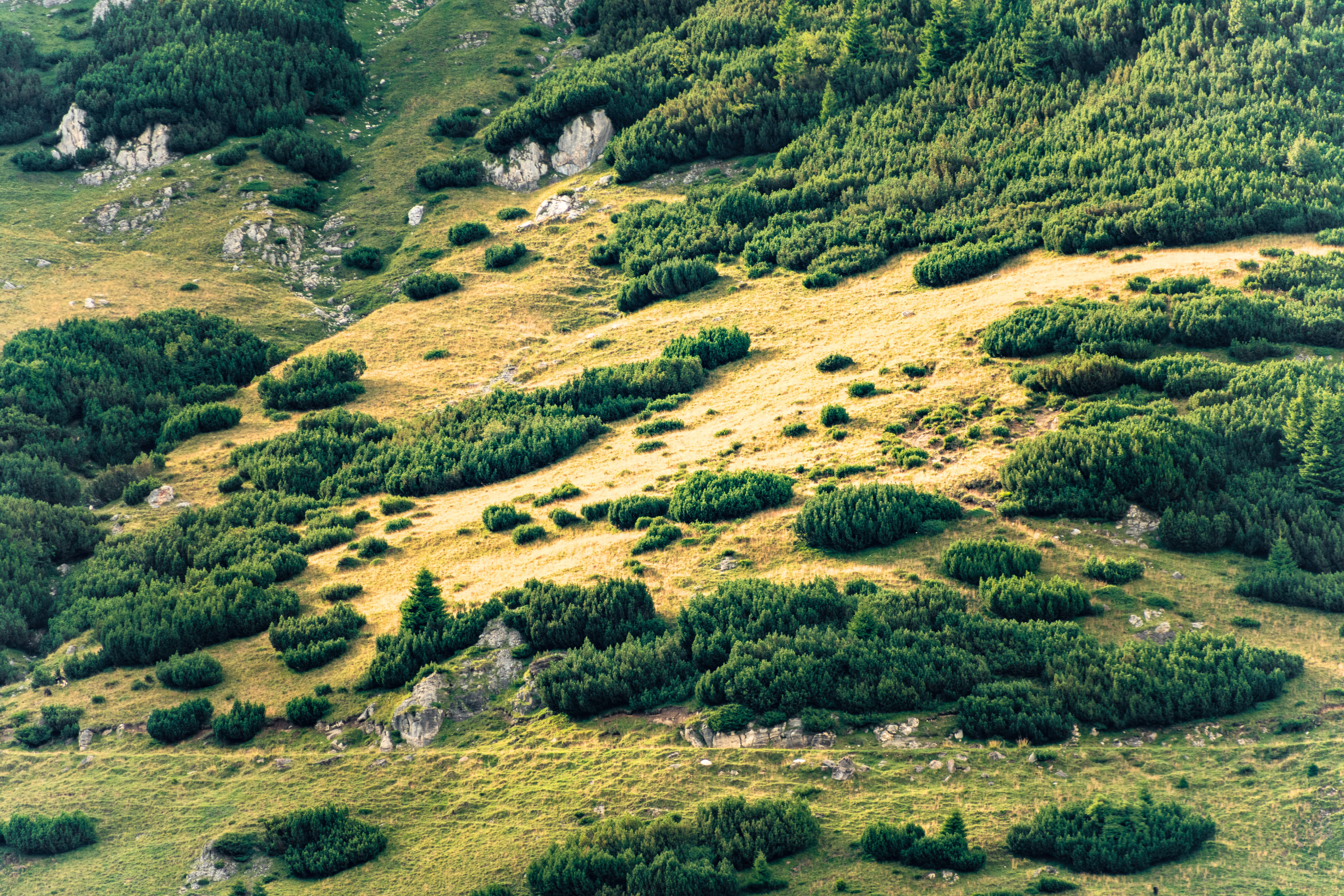 48_Bucegi_Mountains[1].webp